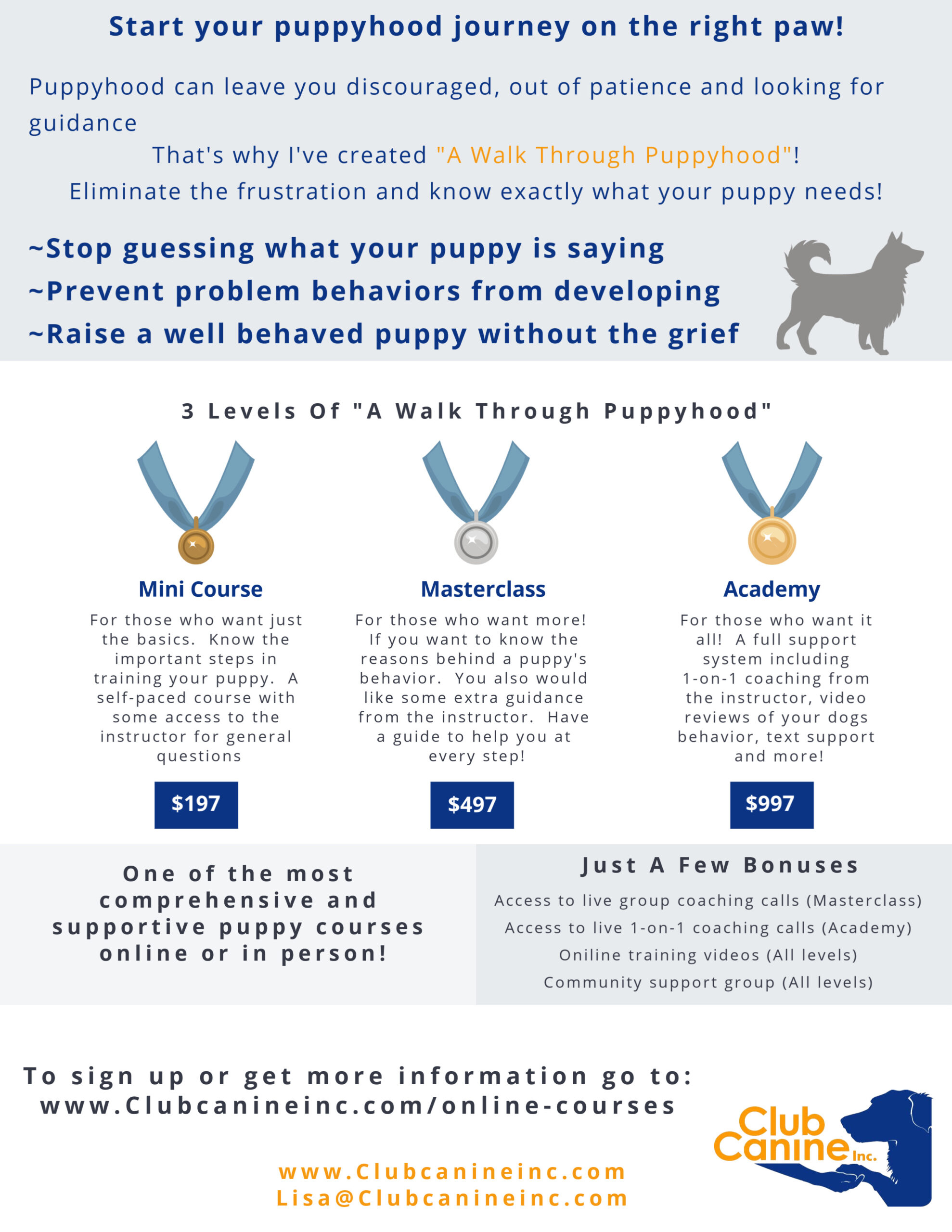puppy course